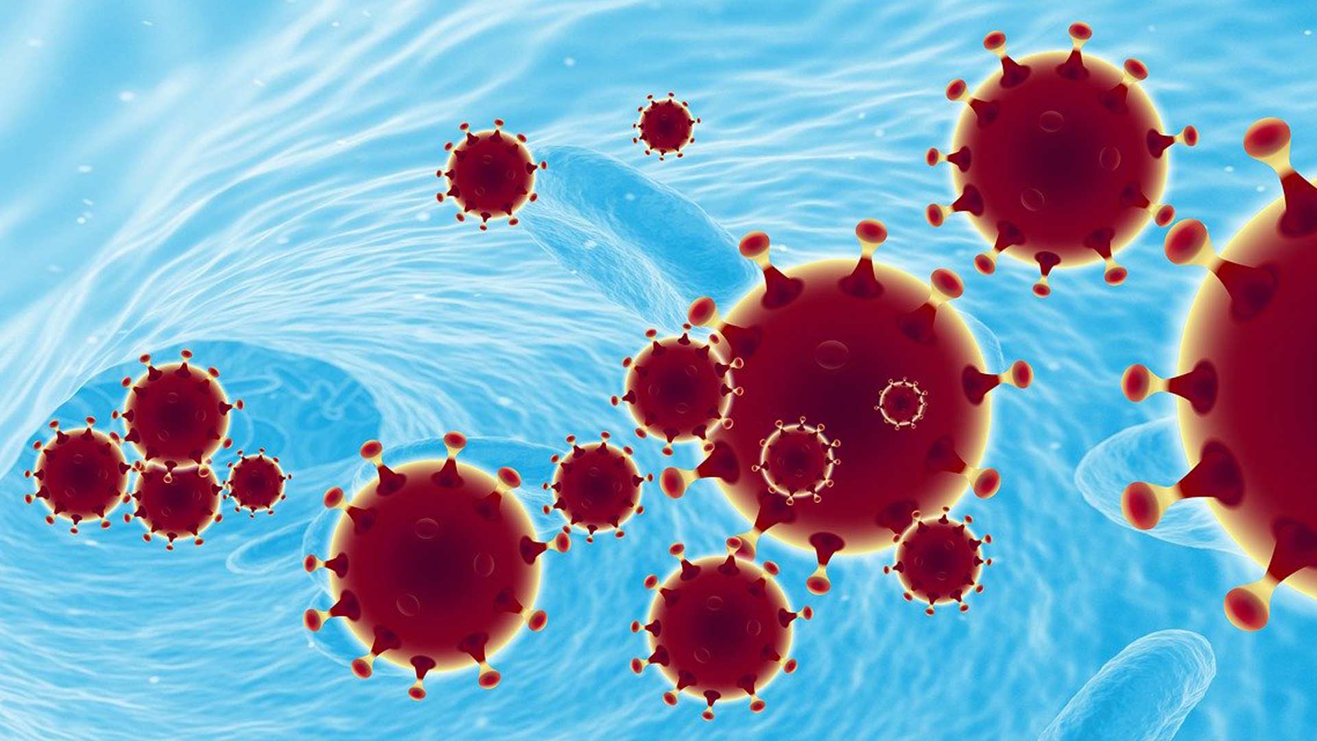 Corona Viren vor hell blauem Hintergrund